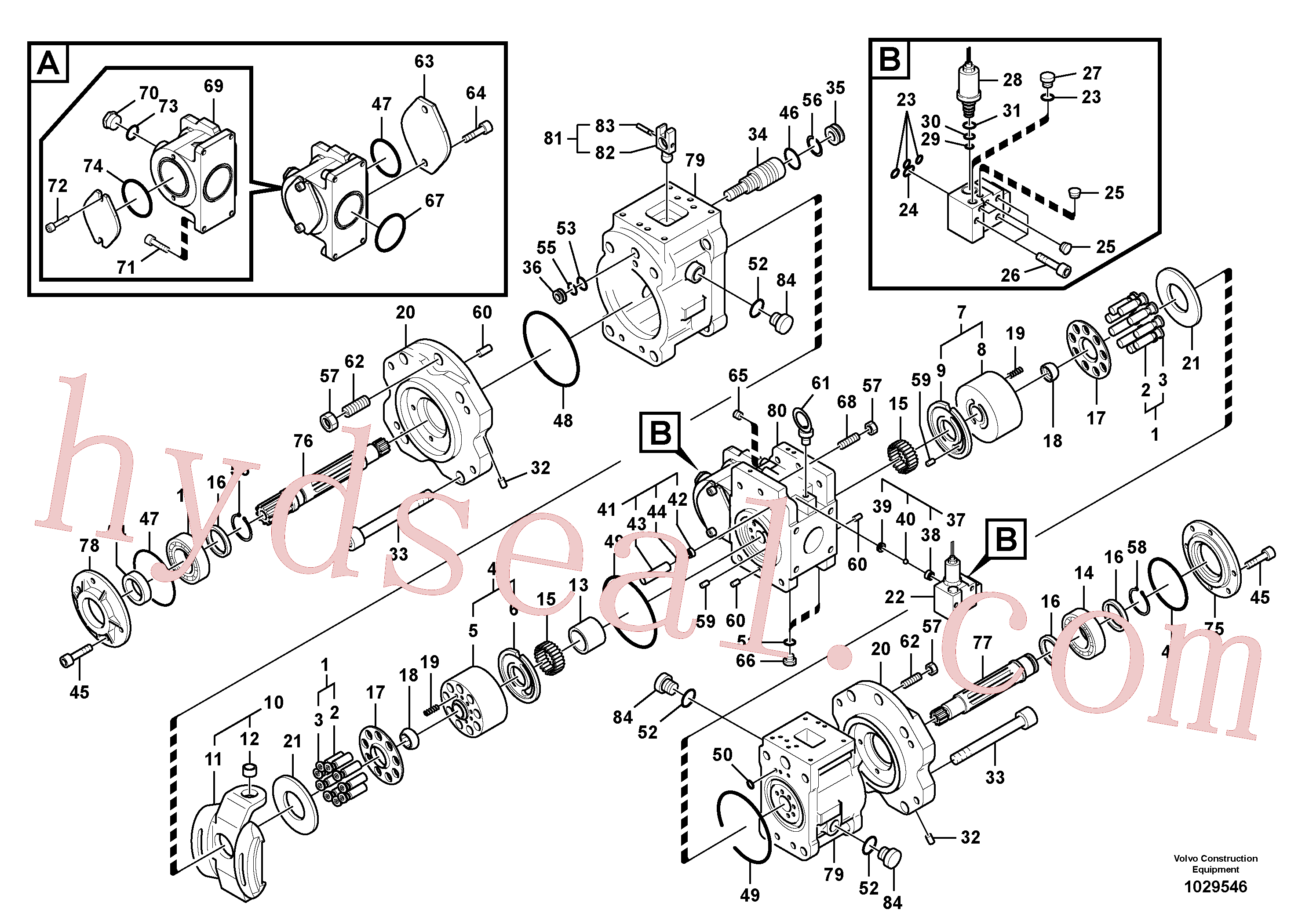 VOE14510070 for Volvo Hydraulic pump(1029546 assembly)