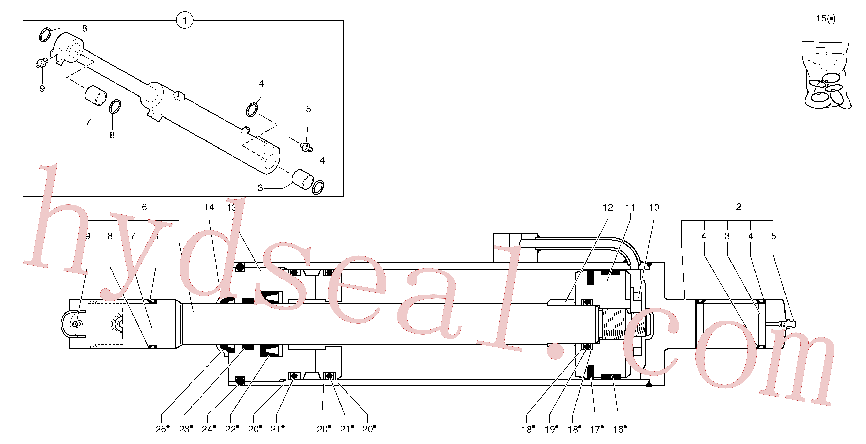 PJ5940405 for Volvo Boom cylinder(9743Y3 assembly)